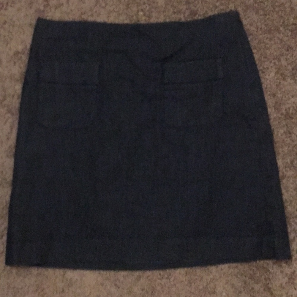 Anne Taylor LOFT Skirt
